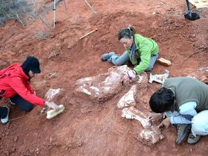 Ilmuwan Gali Fosil Dinosaurus Berusia 220 Juta Tahun di Argentina