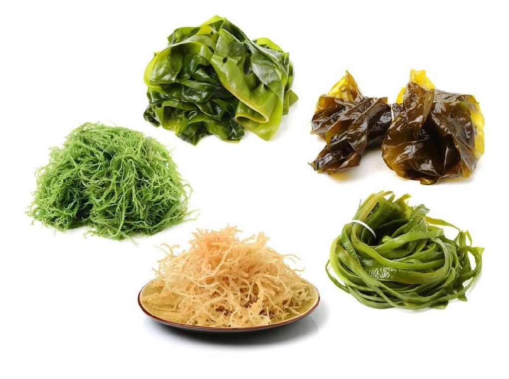 Ini 6 Jenis Rumput Laut, Superfood Jepang yang Bikin Awet Muda dan Ramping