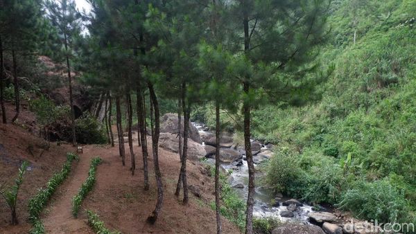 Ide Libur Akhir Pekan: Mandi Air Hangat di Tengah Hutan Banjarnegara