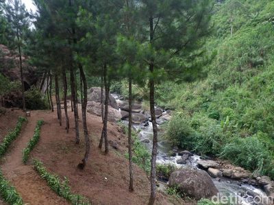 Ide Libur Akhir Pekan: Mandi Air Hangat di Tengah Hutan Banjarnegara