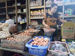 Curhat Pedagang: Harga Telur Ayam Sudah Nggak Normal