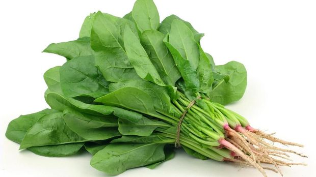 Bunch spinach on white