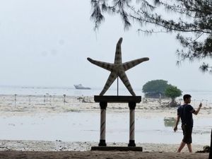 Pantai di Jakarta yang Dihuni Ratusan Bintang Laut