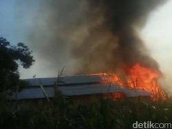 Kebakaran Kandang Ternak di Tegal, Ribuan Ayam Mati Terpanggang