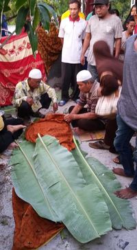 Akhir Kisah Rizky Dipatuk King Cobra Peliharaan