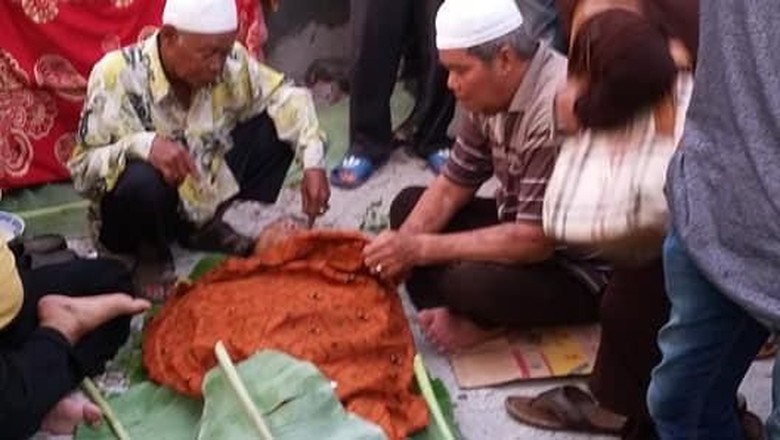 Rizky Korban King Cobra yang Dianggap Mati Suri Dimakamkan