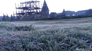 Foto: Dieng yang Membeku Diselimuti Es
