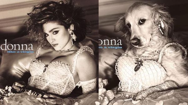 Lucu! Parodi Foto Ikonik Madonna