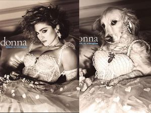 Lucu! Parodi Foto Ikonik Madonna