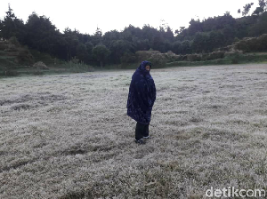 Beku! Suhu 3 Derajat Celsius dan Embun Es Kembali Muncul di Dieng