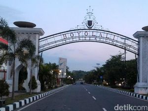 Selain Susu, Keripik hingga Abon Lele Jadi Produk Unggulan Boyolali