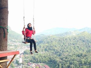 Yang Baru dan Instagramable di Sawahlunto: Puncak Cemara