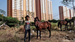 Kondisi Memprihatinkan Para Penarik Delman Jelang Asian Games 2018