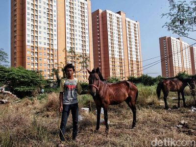 Kondisi Memprihatinkan Para Penarik Delman Jelang Asian Games 2018