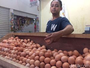 DPR Minta Pemerintah Redam Lonjakan Harga Telur