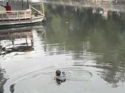 Panik Dikejar Warga, Pria Diduga Jambret Nyebur ke Kali Sunter