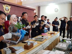 2 Penyelundup Satwa Langka Ditangkap di Batam