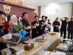 2 Penyelundup Satwa Langka Ditangkap di Batam