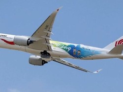 Kopilot Merokok, Pesawat Air China Anjlok 6.500 Meter