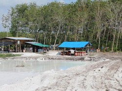 KLHK Tangkap Pelaku Tambang Timah Ilegal di Hutan Bangka Belitung
