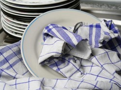 Hati-hati! Lap Dapur Bisa Sebabkan Keracunan Makanan