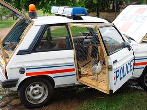 Kocak, Mobil-mobil Ini Berubah Fungsi