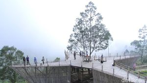 Foto: Teras Bintang yang Lagi Ngehits di Bandung