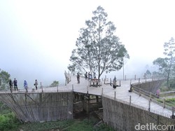 Teras Bintang, Tempat Wisata Kekinian Baru di Ciwidey