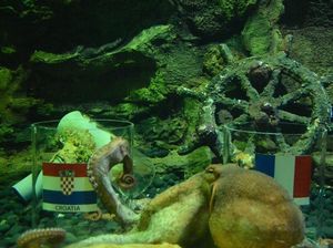 Ikan dan Gurita Sea World Prediksi Kroasia Juara Piala Dunia 2018