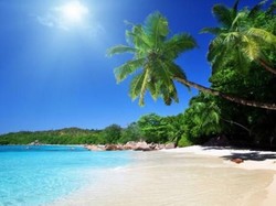 Bupati Selayar Minta Polisi Usut Kades Teken Jual-Beli Pulau Lantigiang