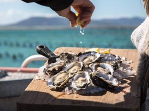 Asyik! Di Sini Bisa Makan Tiram Segar Sambil Duduk di Tengah Lautan