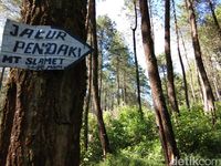 Kacantikan Wanita di Gunung Slamet dan Pendakiannya yang melelahkan