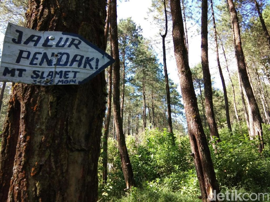 Nekat Daki Gunung Slamet, Siap-siap Diblacklist 2 Tahun Nekat Daki Gunung Slamet, Siap-siap Diblacklist 2 Tahun