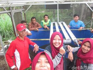 Mahasiswa UB Budidaya Pakan Ikan Lele dari Serangga Ceremenje