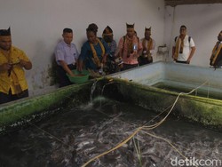 24 Negara Asia Pasifik dan Afrika Pelatihan Perikanan di Banyuwangi