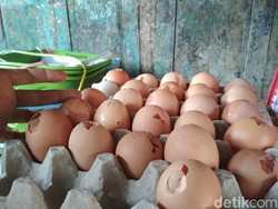 Harga Telur Selangit, Banyak Konsumen di Blitar Beralih ke Telur Ini