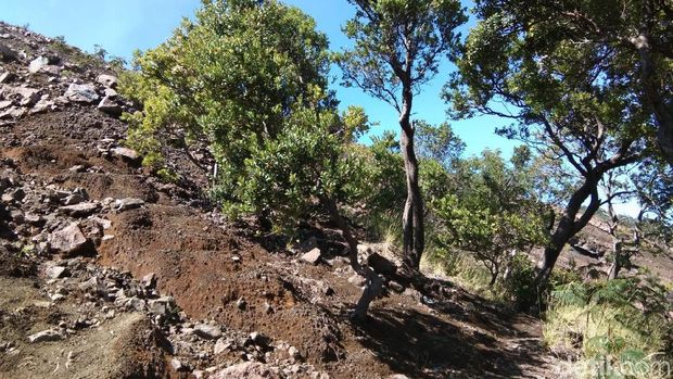 Kacantikan Wanita di Gunung Slamet dan Pendakiannya yang melelahkan