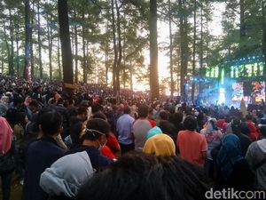 Foto: Kemping Sambil Nonton Konser Musik di Hutan Malino