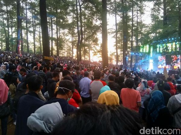 Foto: Kemping Sambil Nonton Konser Musik di Hutan Malino