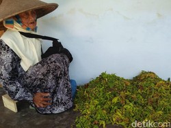 Ini Kisah Keseharian Nenek Penjual Bunga Kenanga yang Naik Haji