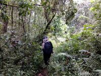 Kacantikan Wanita di Gunung Slamet dan Pendakiannya yang melelahkan