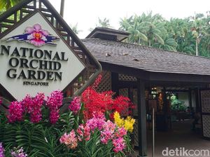 Melihat Aneka Bunga Anggrek dari Berbagai Negara di Singapura