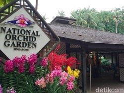 Melihat Aneka Bunga Anggrek dari Berbagai Negara di Singapura