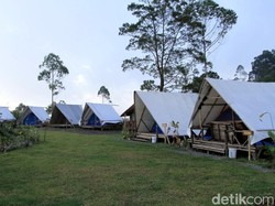 Kemping Asyik di Bandung Bareng Keluarga, ke Sini Saja!