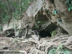 Ini Penampakan Gua Sarang Ular Sanca di Mojokerto