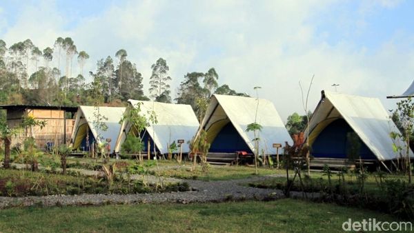 Foto: Kemping Asyik di Bandung Serasa Seperti di Hotel