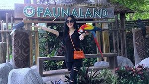 Selebriti Vs Netizen, Mulai Tas KW hingga Body Shaming