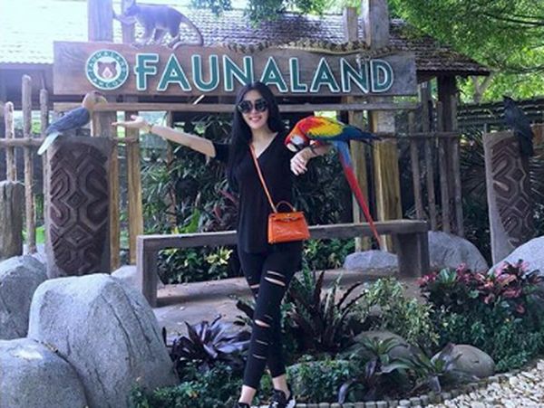 Selebriti Vs Netizen, Mulai Tas KW hingga Body Shaming