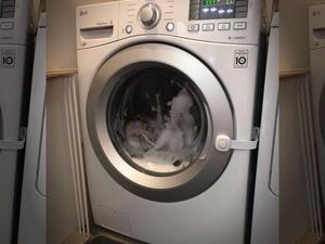 Duh! Balita di AS Terperangkap dalam Mesin Cuci yang Menyala