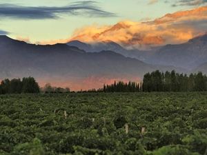 Ubud Akan Dapat Sertifikasi Destinasi Kuliner Kelas Dunia